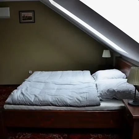 U Paluku Apartment Chrudim