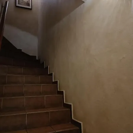 U Paluku Apartament Chrudim